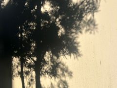 -清漾毛氏文化村