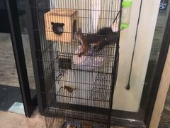 -MOJO密室逃脱(中街旗舰店)