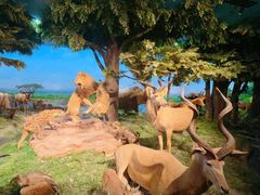 -国家自然博物馆