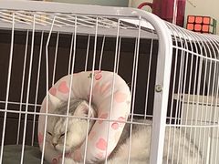 -深圳野生动物园宠物医院(西湖林语店)