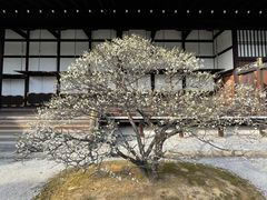 -京都御所