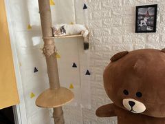 -平行世界·猫咖(首经贸店)
