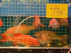 -肥福排档(星光店)