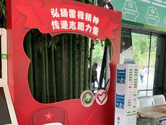 -都江堰中华大熊猫苑