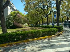 -上海市公安局交通警察总队车辆管理所三分所