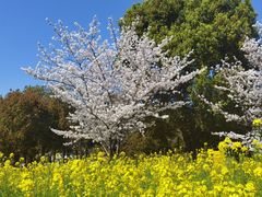 -石湖景区