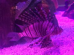 -沈阳海洋探索中心