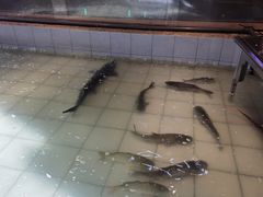 -胖姐渔村(中源大道店)