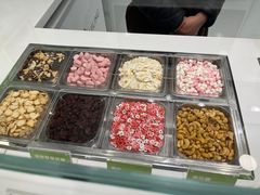 -Salud撒露欧洲冻酸奶(蓝色港湾店)