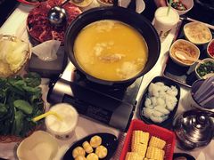 -鲜入围煮花胶鸡海鲜火锅