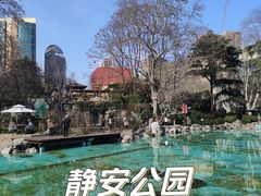 -静安公园(静安寺街道)