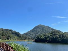 -广州市石门国家森林公园