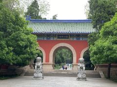 -灵谷景区