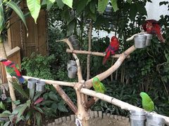 -南宫五洲植物乐园