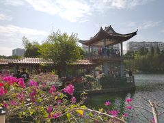 -深圳龙潭公园