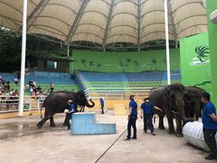 -大连森林动物园