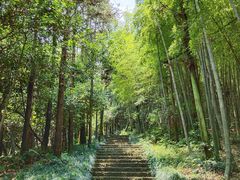 -杭州半山国家森林公园