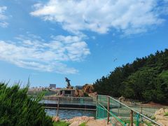 -西霞口神雕山野生动物世界