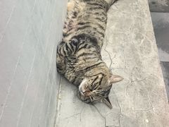 -正阳书局(西四南大街店)