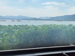 -湖畔居茶楼(湖滨店)