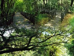 -广州市石门国家森林公园
