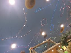 -卡通尼·Safari非洲探索乐园·生日会(金桥国际商业广场店)