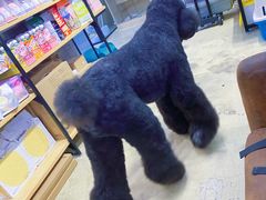 -熊小胖宠物生活馆(天华园店)