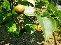 -福建鲤鱼洲酒店