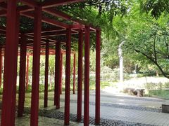 -西安市长乐公园