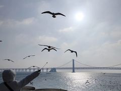 -星海广场