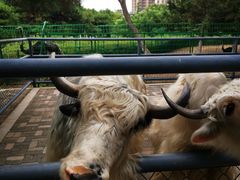 -长白岛森林公园