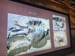 -秦始皇帝陵博物院(兵马俑)
