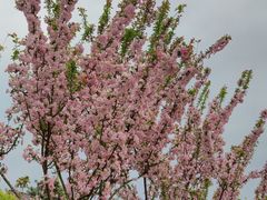 -眉山湿地公园(东坡区)