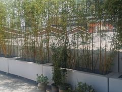 -禾气食店