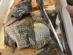 -费明中罗非鱼(大石坝店)