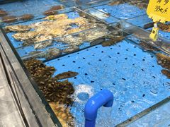 -黑石礁酒楼·海鲜(黑石礁店)
