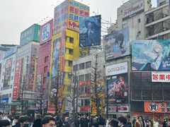 -秋叶原电器街
