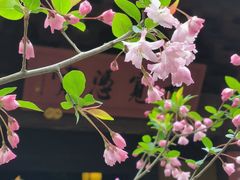 -慧因高丽寺