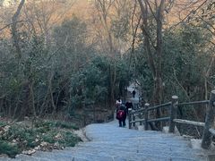 -紫金山山顶公园
