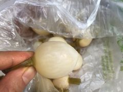 -雪儿钱局泡菜