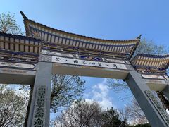 -寂照庵
