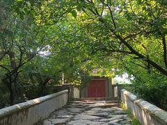 -阳台山自然风景区