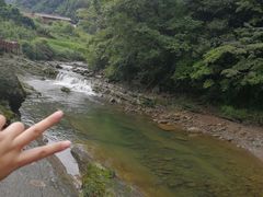 -黎坪国家森林公园