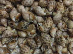 -曾记川菜饭店(亚龙湾路店)