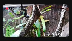 -酷嗒动物文化乐园(cutezoo西溪乐天城店)