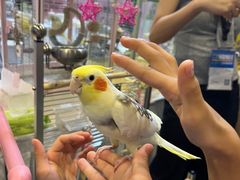 -南宁国际会展中心