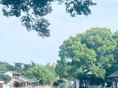 -枫桥景区