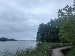 -东湖落雁景区