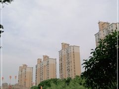 -三林塘老街