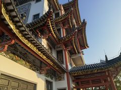 -广东花都湖国家湿地公园
